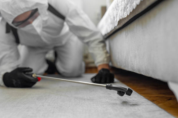 Professional Termite Control technician working in West Fairview, PA